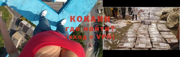тгк Нея
