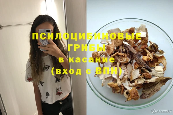 герыч Новозыбков
